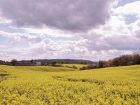 Droomhuis op het Platteland - Herefordshire