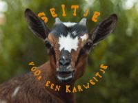 Geitje voor een karweitje - Het goede doel