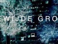 Gewijde Grond - Amsterdam