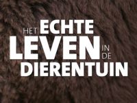 Het Echte Leven in de Dierentuin - 22-12-2020