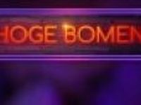 Hoge Bomen - Najib Amhali