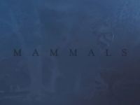 Mammals - Donker