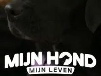 Mijn Hond, Mijn Leven - 23-12-2023