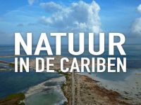 Natuur in de Cariben - Aruba