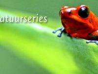 Natuur op 2 - Het geheim van succes