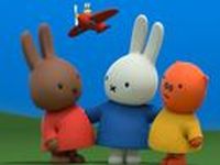 Nijntje - De wedstrijd van Boris