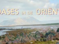 Oases - Socotra, Jemen