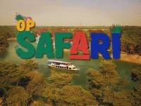 Op Safari - Neushoorns en Struisvogel