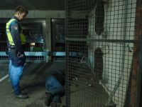 Overtreders - 9-3-2026