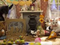 Poesjes - Verjaardag