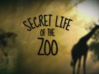 Secret Life of the Zoo - 17-10-2026