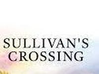 Sullivan's Crossing - A Storm Is Brewing