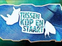Tussen Kop & Staart - Tussen Kop en Staart