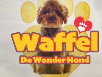 Waffel de Wonderhond - Behulpzame Waffel