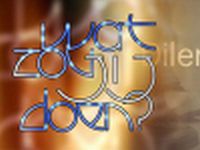 Wat zou jij doen? - Aniek