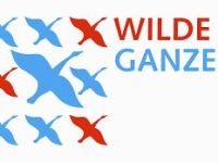 Wilde Ganzen - Water voor Benin