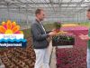 Bloemencorso'sAflevering 5
