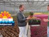 Bloemencorso'sAflevering 6