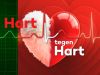 Hart Tegen HartFajah Lourens & Wolter Kroes vs. Wendy van Dijk & Dennis Weening