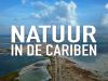 Natuur in de Cariben - Sint Maarten