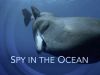 Spy in the Ocean - Diepe problemen